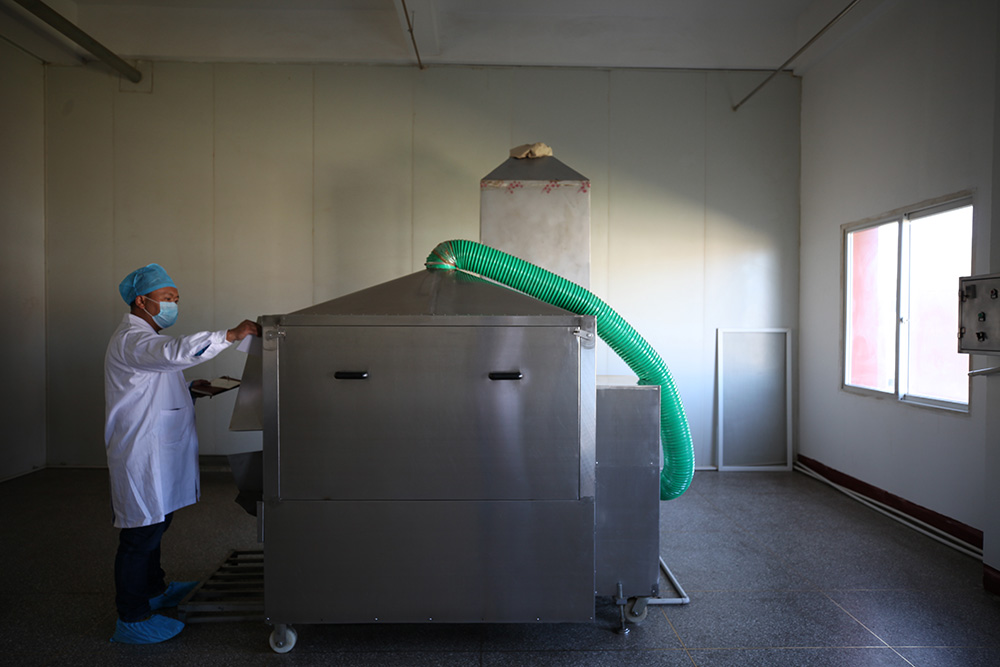 1548036176459284.jpg IMG_8471.jpg