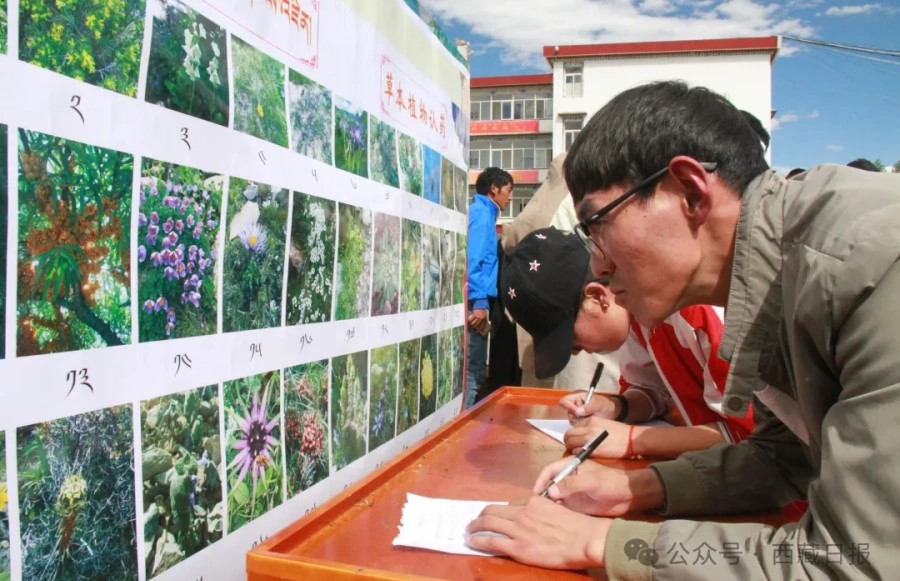 1755672561426566.jpg 640 (5).jpg