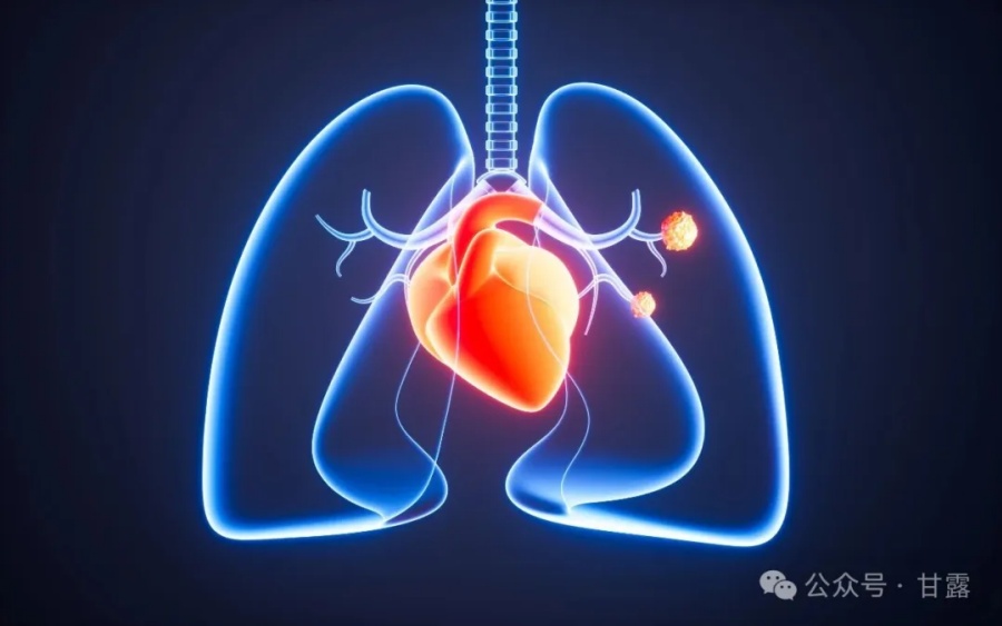 1762916891930952.jpg 640.jpg