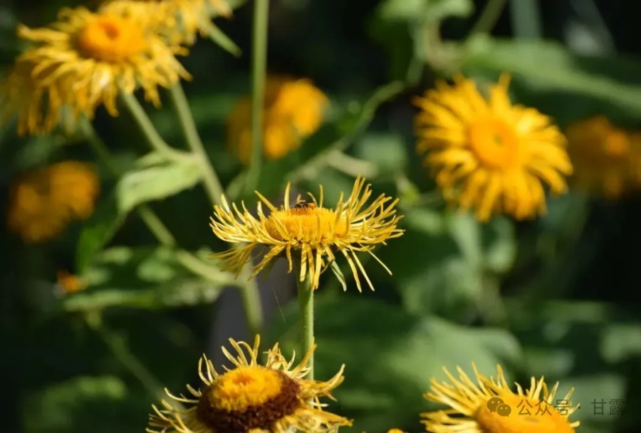 1763955672716432.jpg 640 (2).jpg